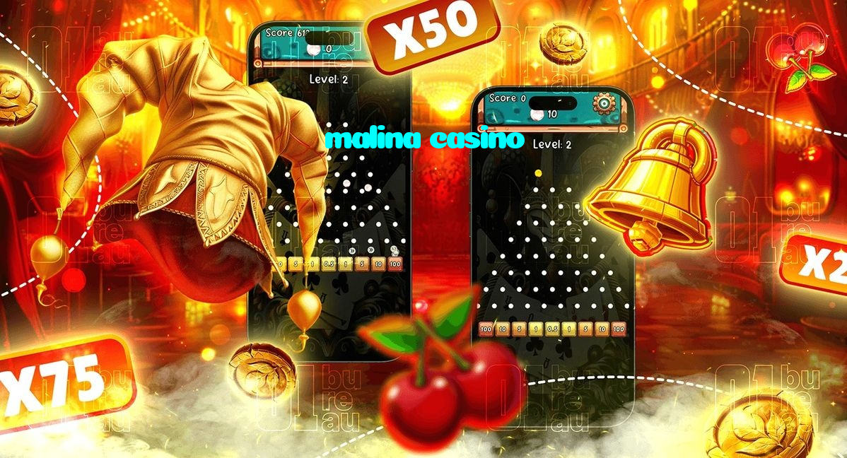available types of malina casino bet including pre-match live express and system bets